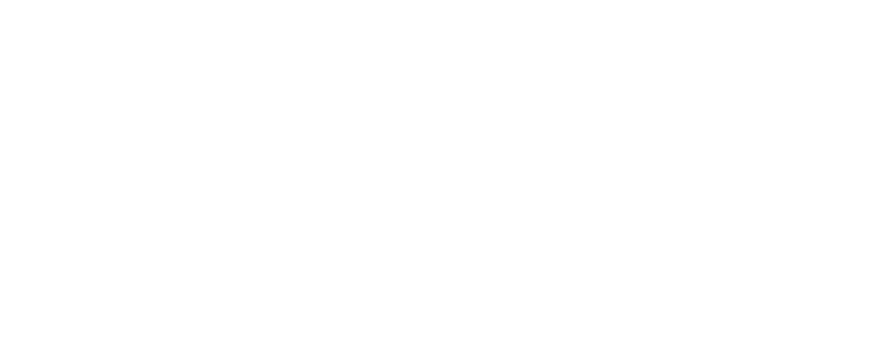 Trusted partner logo 2